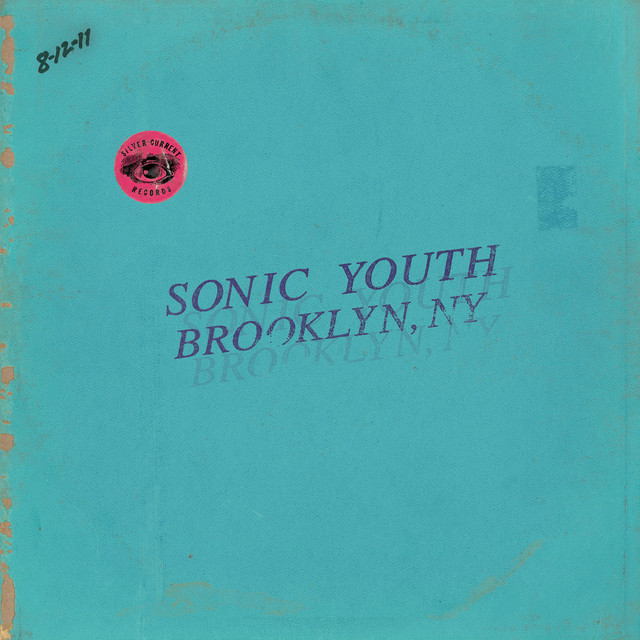 Album cover for Live in Brooklyn, Ny. by Sonic Youth
