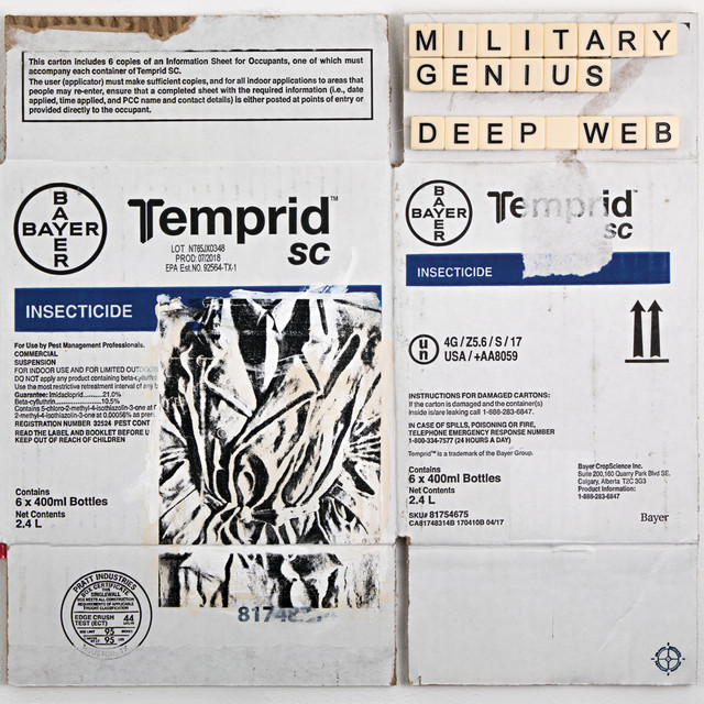 Album cover for Deep Web by Military Genius