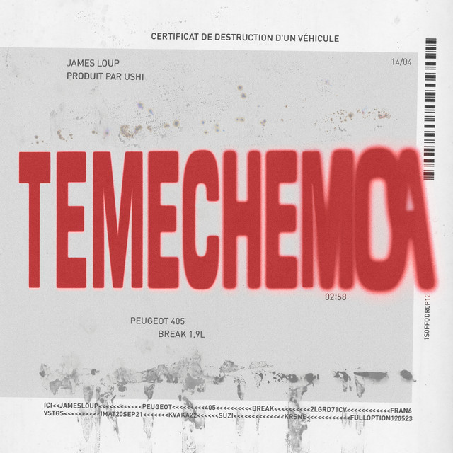Album cover for TÉMÉCHÉMOA by James Loup