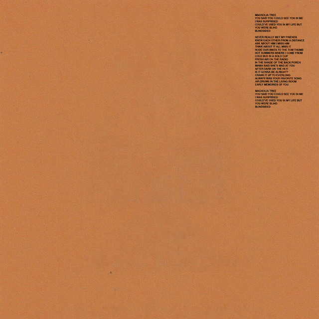 Album cover for Blindsided by Hovvdy, featuring orange dominant palette and typographic composition.