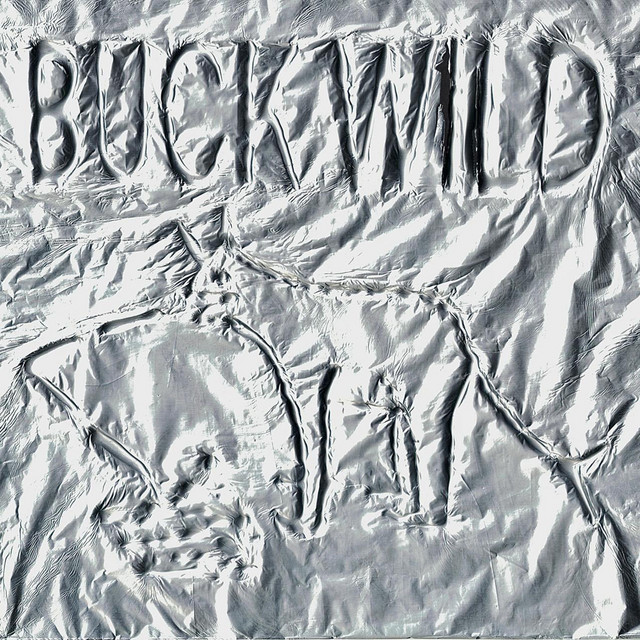 Album cover for BUCK WILD by Karshni