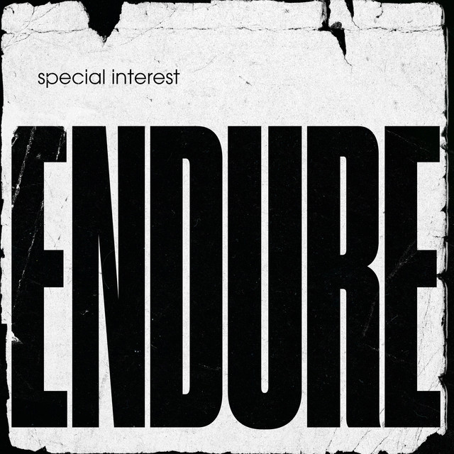 Album cover for Endure by Special Interest