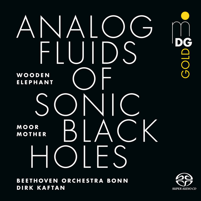 Album cover for Analog Fluids of Sonic Black Holes by Moor Mother, Wooden Elephant, Beethoven Orchester Bonn, Dirk Kaftan, Ian Anderson