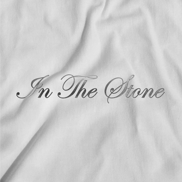 Album cover for In the Stone by The Goon Sax