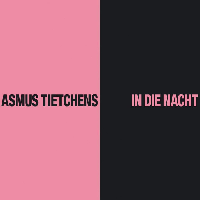 Album cover for In die Nacht by Asmus Tietchens