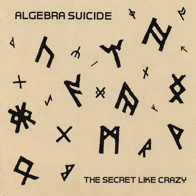 Album cover for The Secret Like Crazy by Algebra Suicide
