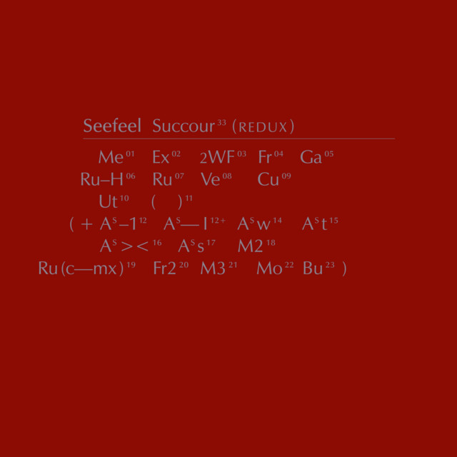 Album cover for Succour (Redux) by Seefeel