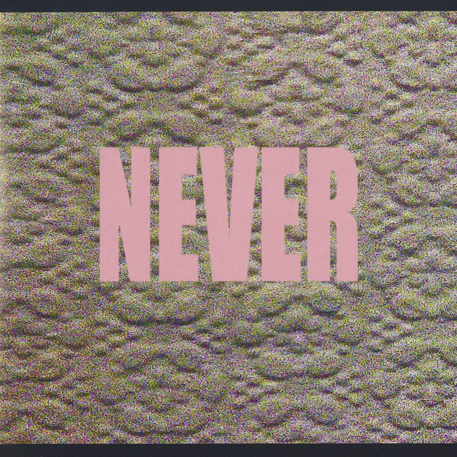 Album cover for Never by Micachu & The Shapes