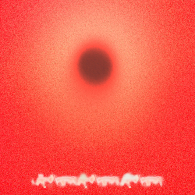 Album cover for 45 Pounds by YHWH Nailgun