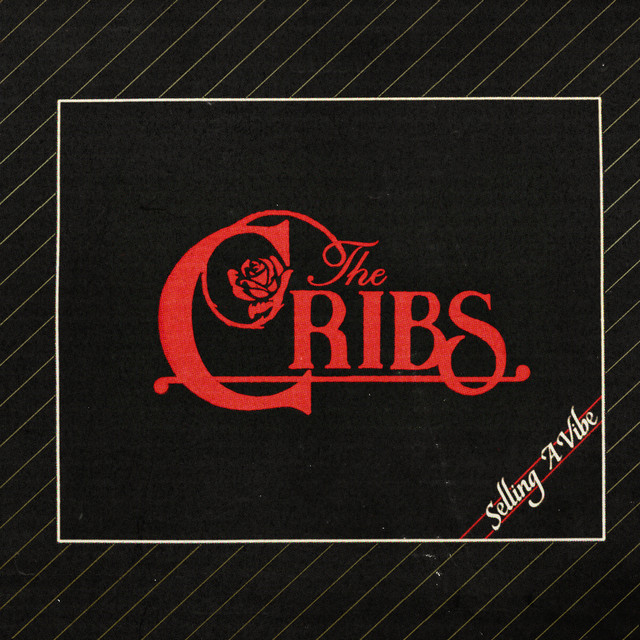 Album cover for Selling A Vibe by The Cribs