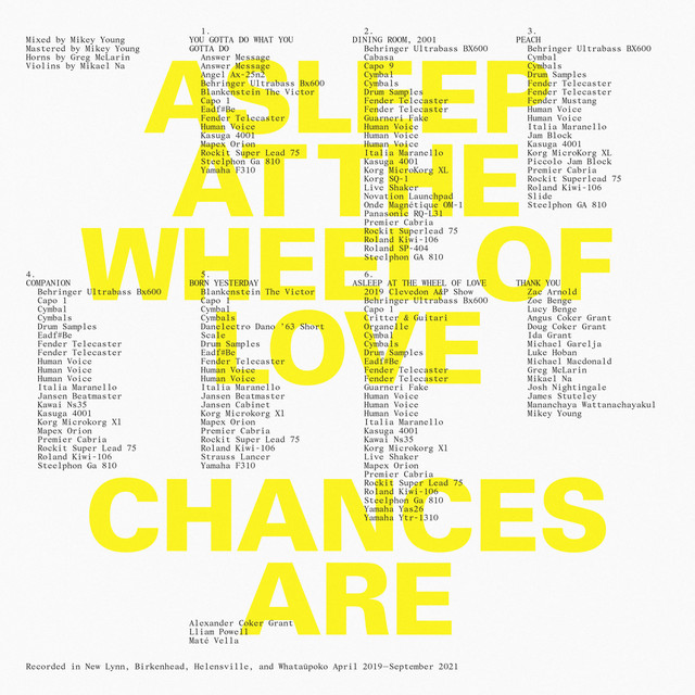 Album cover for Asleep At The Wheel Of Love by Chances Are