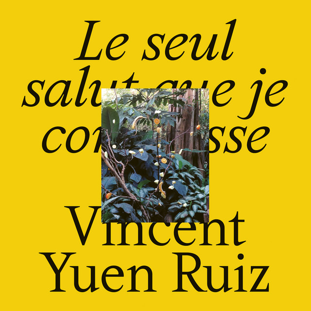 Album cover for Le seul salut que je connaisse by Vincent Yuen Ruiz