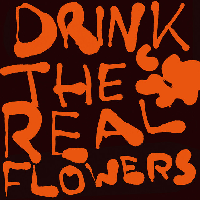 Album cover for Drink The Real Flowers by ddwy