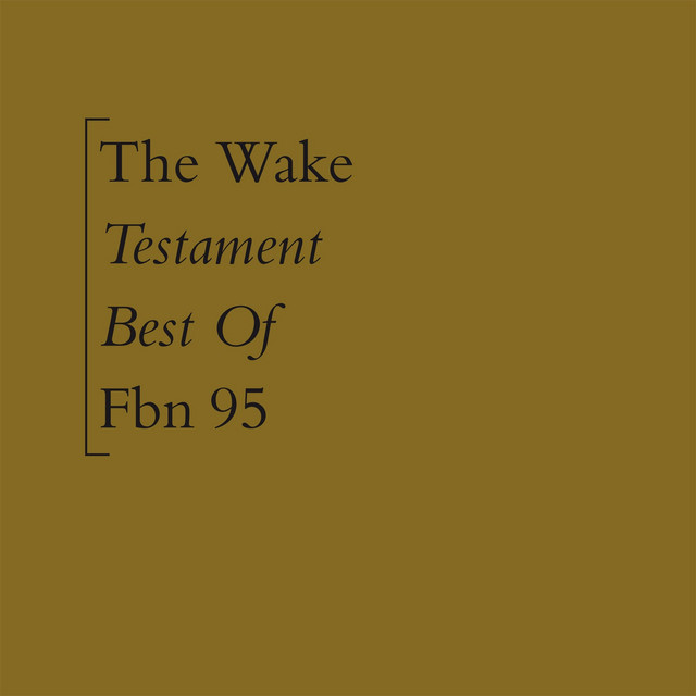 Album cover for Testament (Best Of) by The Wake