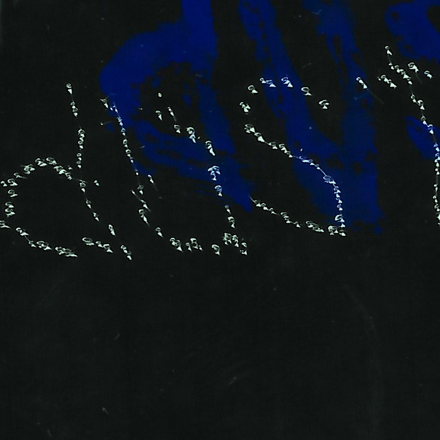 Album cover for Dust by snuggle