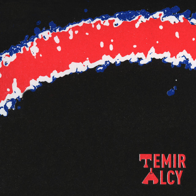 Album cover for Temir Alcy by Temir Alcy