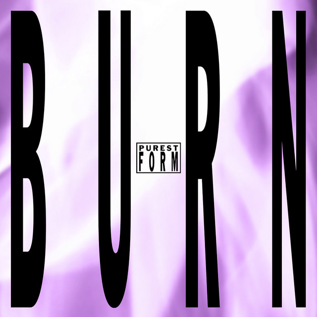 Album cover for Burn by PUREST FORM, Nuovo Testamento